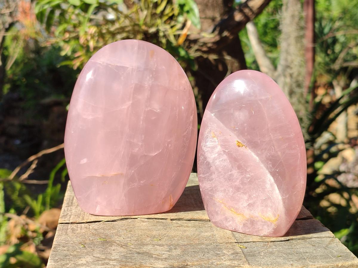 Polished Gemmy Rose Quartz Standing Display Pieces x 2 From Madagascar - Toprock Gemstones and Minerals 