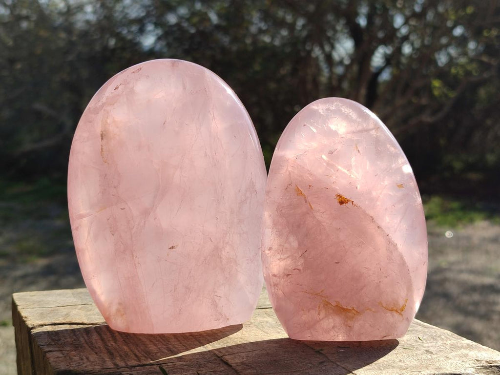 Polished Gemmy Rose Quartz Standing Display Pieces x 2 From Madagascar - Toprock Gemstones and Minerals 