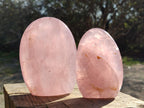 Polished Gemmy Rose Quartz Standing Display Pieces x 2 From Madagascar - Toprock Gemstones and Minerals 