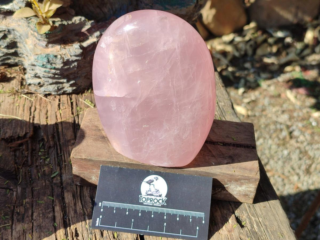 Polished Gemmy Rose Quartz Standing Display Pieces x 2 From Madagascar - Toprock Gemstones and Minerals 
