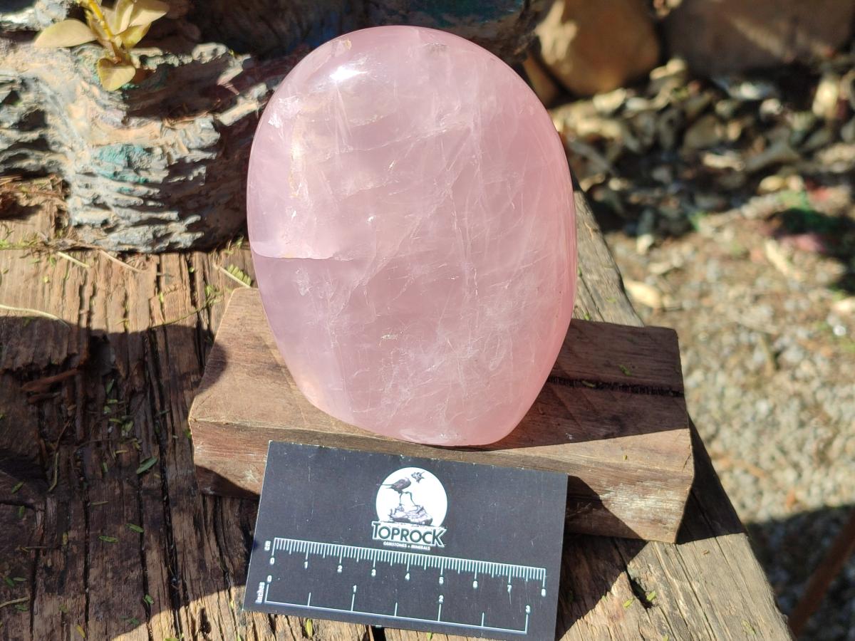 Polished Gemmy Rose Quartz Standing Display Pieces x 2 From Madagascar - Toprock Gemstones and Minerals 