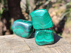Polished Flower Banded Malachite Free Forms x 35 From Congo - Toprock Gemstones and Minerals 