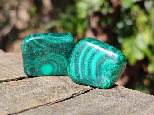 Polished Flower Banded Malachite Free Forms x 35 From Congo - Toprock Gemstones and Minerals 