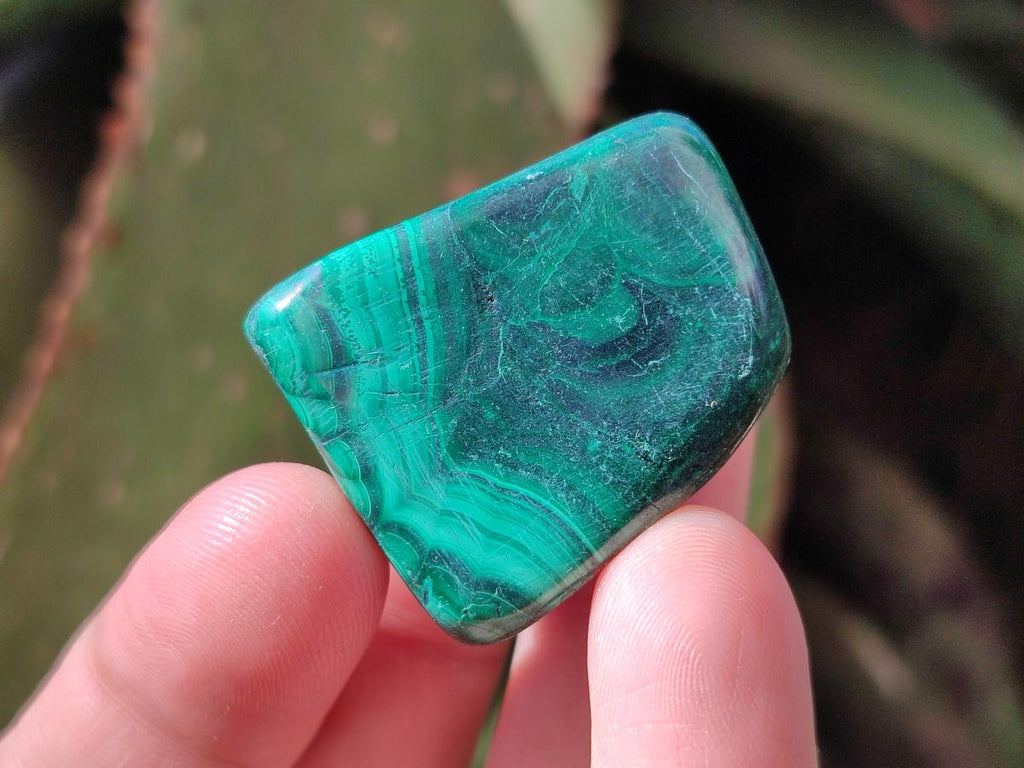 Polished Flower Banded Malachite Free Forms x 35 From Congo - Toprock Gemstones and Minerals 