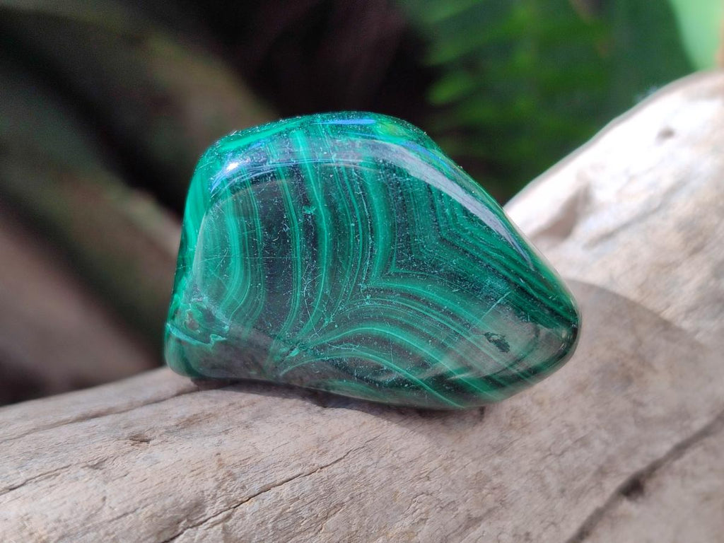 Polished Flower Banded Malachite Free Forms x 35 From Congo - Toprock Gemstones and Minerals 