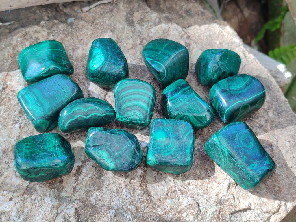 Polished Flower Banded Malachite Free Forms x 35 From Congo - Toprock Gemstones and Minerals 