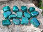 Polished Flower Banded Malachite Free Forms x 35 From Congo - Toprock Gemstones and Minerals 