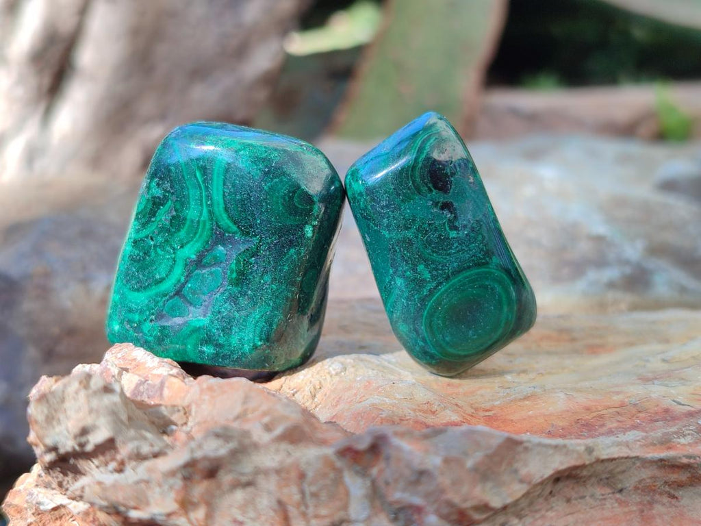 Polished Flower Banded Malachite Free Forms x 35 From Congo - Toprock Gemstones and Minerals 