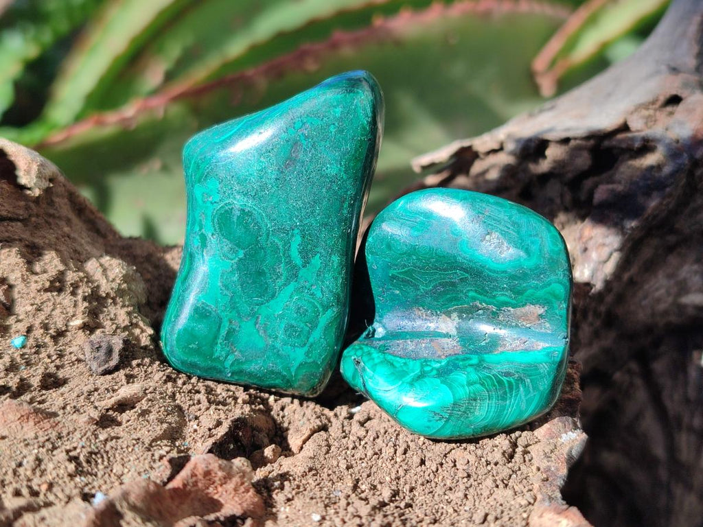 Polished Flower Banded Malachite Free Forms x 35 From Congo - Toprock Gemstones and Minerals 
