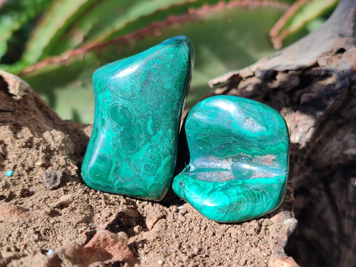 Polished Flower Banded Malachite Free Forms x 35 From Congo - Toprock Gemstones and Minerals 