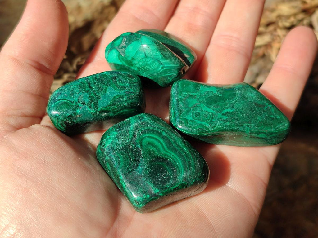 Polished Flower Banded Malachite Free Forms x 35 From Congo - Toprock Gemstones and Minerals 