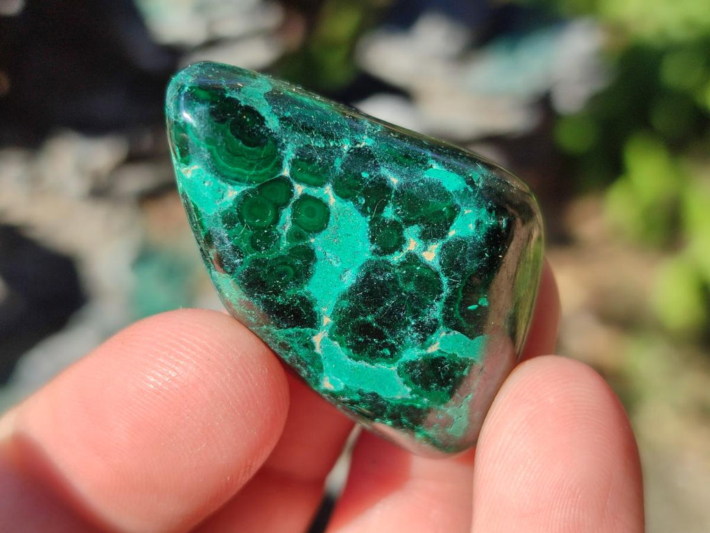 Polished Flower Banded Malachite Free Forms x 35 From Congo - Toprock Gemstones and Minerals 