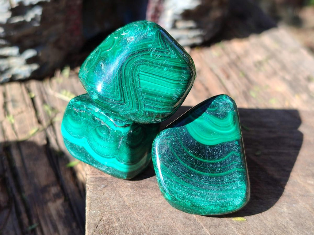 Polished Flower Banded Malachite Free Forms x 35 From Congo - Toprock Gemstones and Minerals 