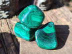 Polished Flower Banded Malachite Free Forms x 35 From Congo - Toprock Gemstones and Minerals 