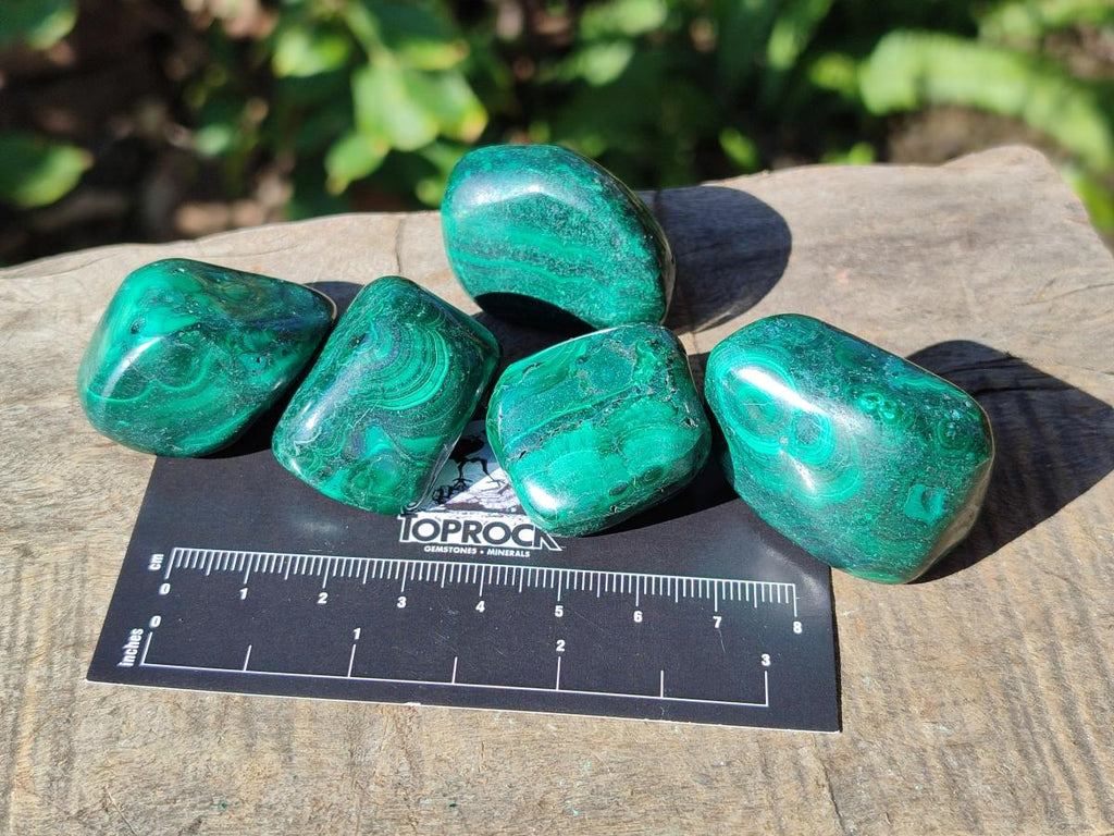 Polished Flower Banded Malachite Free Forms x 35 From Congo - Toprock Gemstones and Minerals 