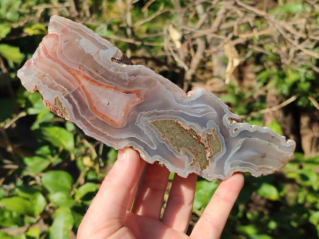 Polished One Side Red Shashe River Sardonyx Agate Slices x 4 From Shashe River, Zimbabwe - Toprock Gemstones and Minerals 