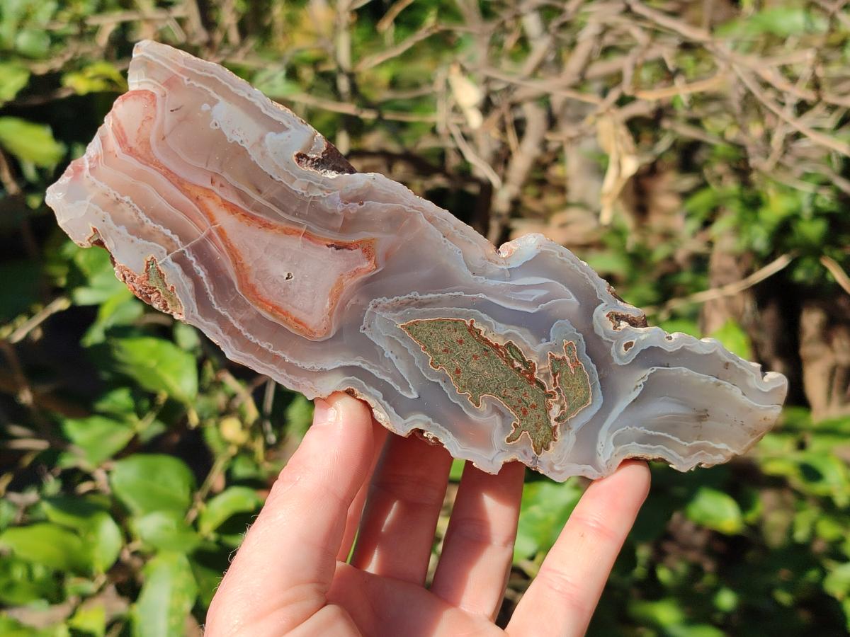 Polished One Side Red Shashe River Sardonyx Agate Slices x 4 From Shashe River, Zimbabwe - Toprock Gemstones and Minerals 