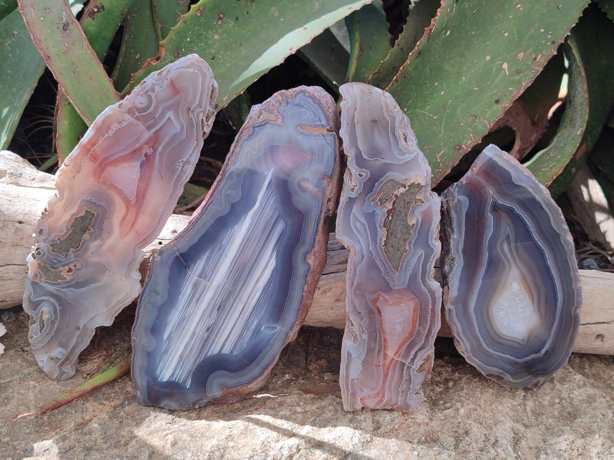 Polished One Side Red Shashe River Sardonyx Agate Slices x 4 From Shashe River, Zimbabwe - Toprock Gemstones and Minerals 