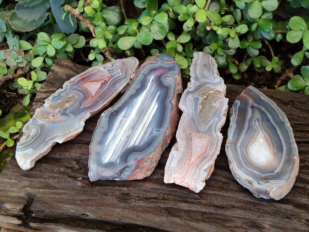 Polished One Side Red Shashe River Sardonyx Agate Slices x 4 From Shashe River, Zimbabwe - Toprock Gemstones and Minerals 