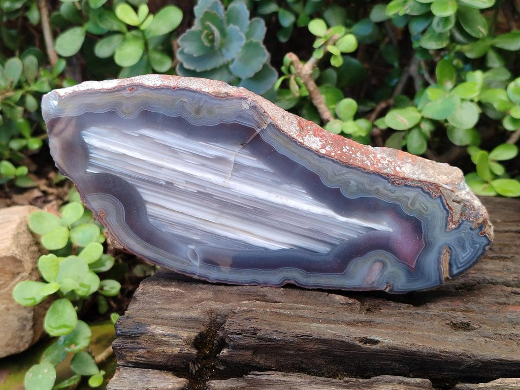 Polished One Side Red Shashe River Sardonyx Agate Slices x 4 From Shashe River, Zimbabwe - Toprock Gemstones and Minerals 