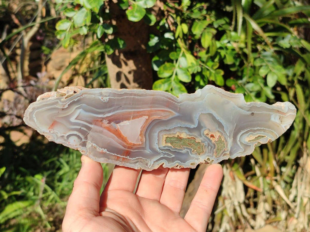 Polished One Side Red Shashe River Sardonyx Agate Slices x 4 From Shashe River, Zimbabwe - Toprock Gemstones and Minerals 
