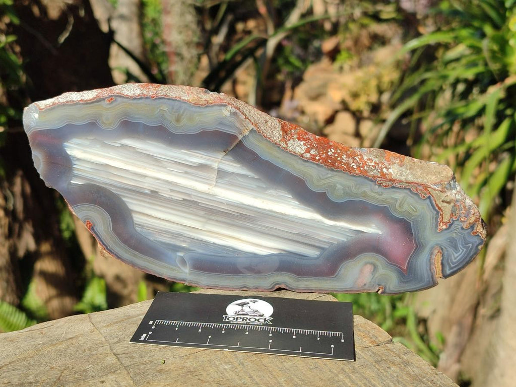Polished One Side Red Shashe River Sardonyx Agate Slices x 4 From Shashe River, Zimbabwe - Toprock Gemstones and Minerals 