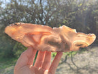 Polished One Side Red Shashe River Sardonyx Agate Slices x 4 From Shashe River, Zimbabwe - Toprock Gemstones and Minerals 