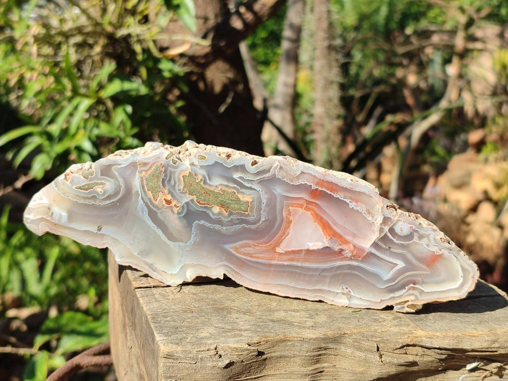 Polished One Side Red Shashe River Sardonyx Agate Slices x 4 From Shashe River, Zimbabwe - Toprock Gemstones and Minerals 