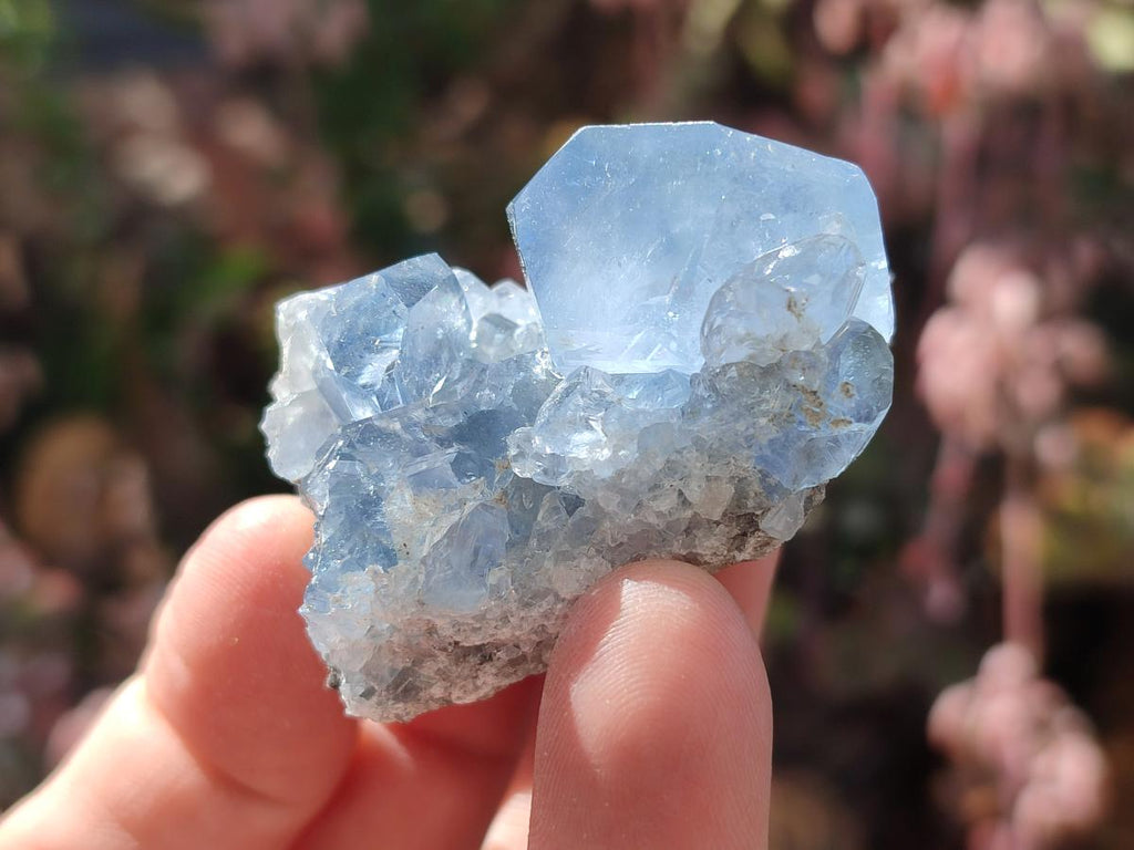 Natural Blue Celestite Specimens x 35 From Sakoany, Madagascar - Toprock Gemstones and Minerals 