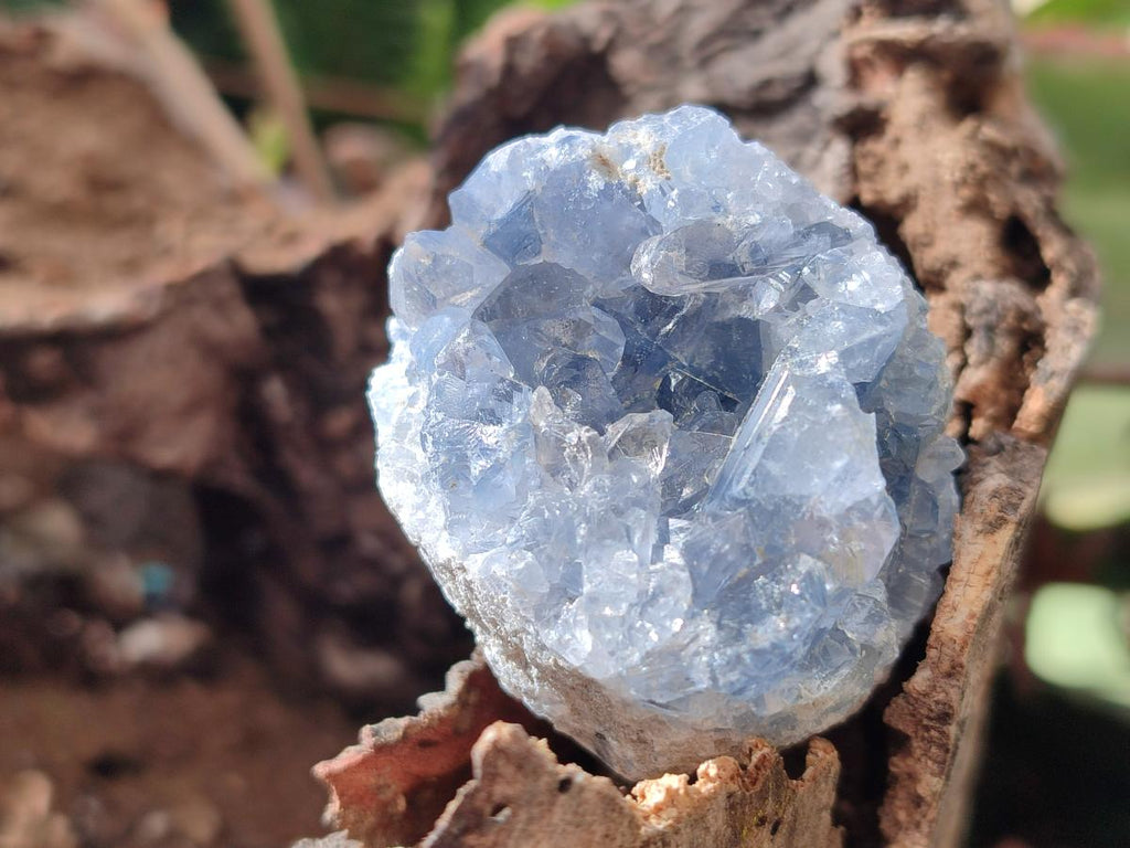 Natural Blue Celestite Specimens x 35 From Sakoany, Madagascar - Toprock Gemstones and Minerals 