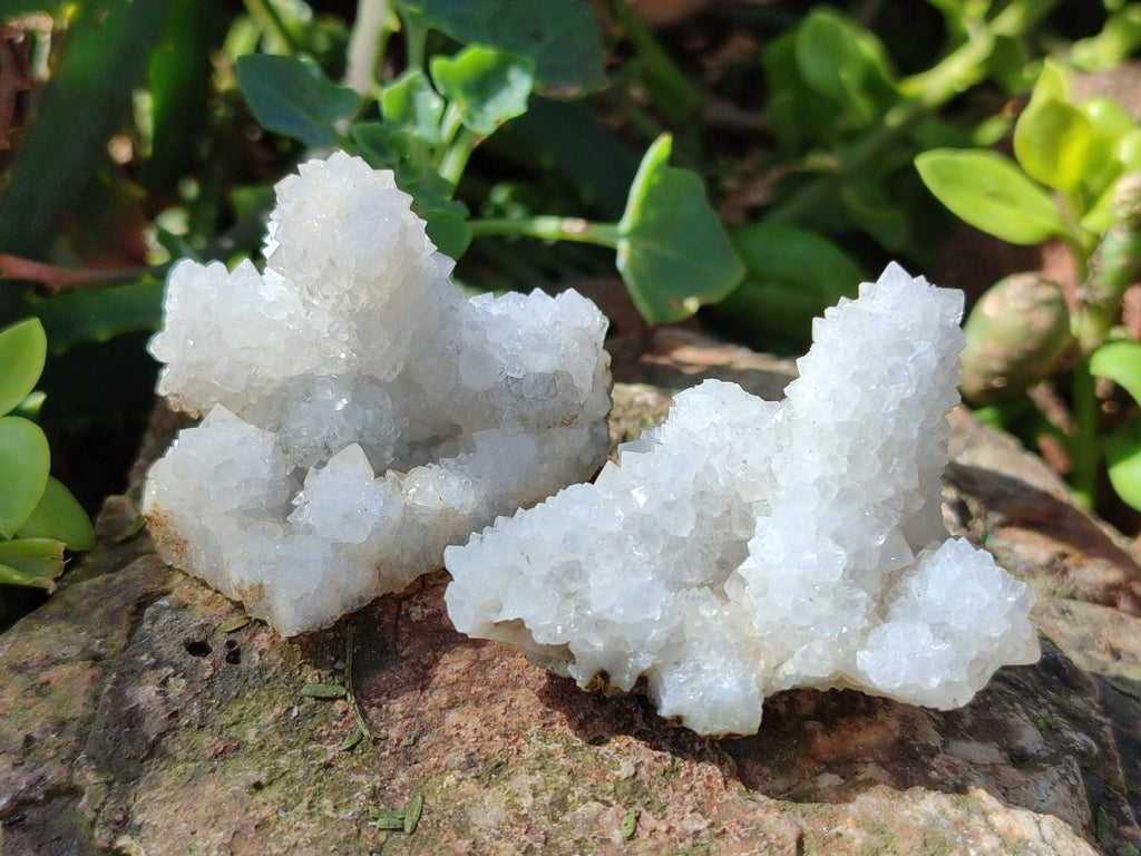 Natural Drusy Stalagmitic Snow Finger Quartz Coated Crystals x 35 From Albert's Mountain, Lesotho - Toprock Gemstones and Minerals 