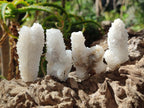 Natural Drusy Stalagmitic Snow Finger Quartz Coated Crystals x 35 From Albert's Mountain, Lesotho - Toprock Gemstones and Minerals 