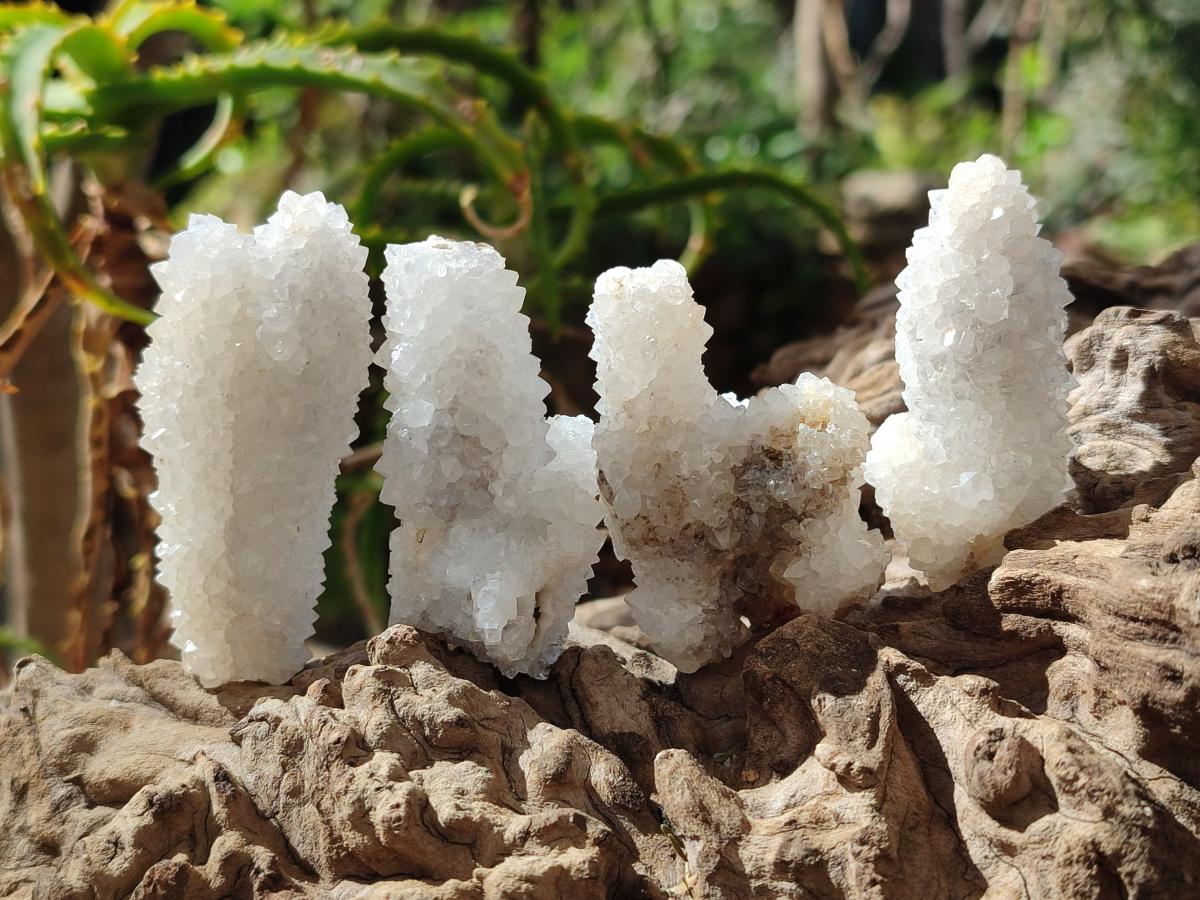 Natural Drusy Stalagmitic Snow Finger Quartz Coated Crystals x 35 From Albert's Mountain, Lesotho - Toprock Gemstones and Minerals 