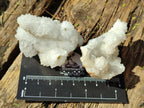 Natural Drusy Stalagmitic Snow Finger Quartz Coated Crystals x 35 From Albert's Mountain, Lesotho - Toprock Gemstones and Minerals 