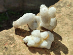 Natural Drusy Stalagmitic Snow Finger Quartz Coated Crystals x 35 From Albert's Mountain, Lesotho - Toprock Gemstones and Minerals 