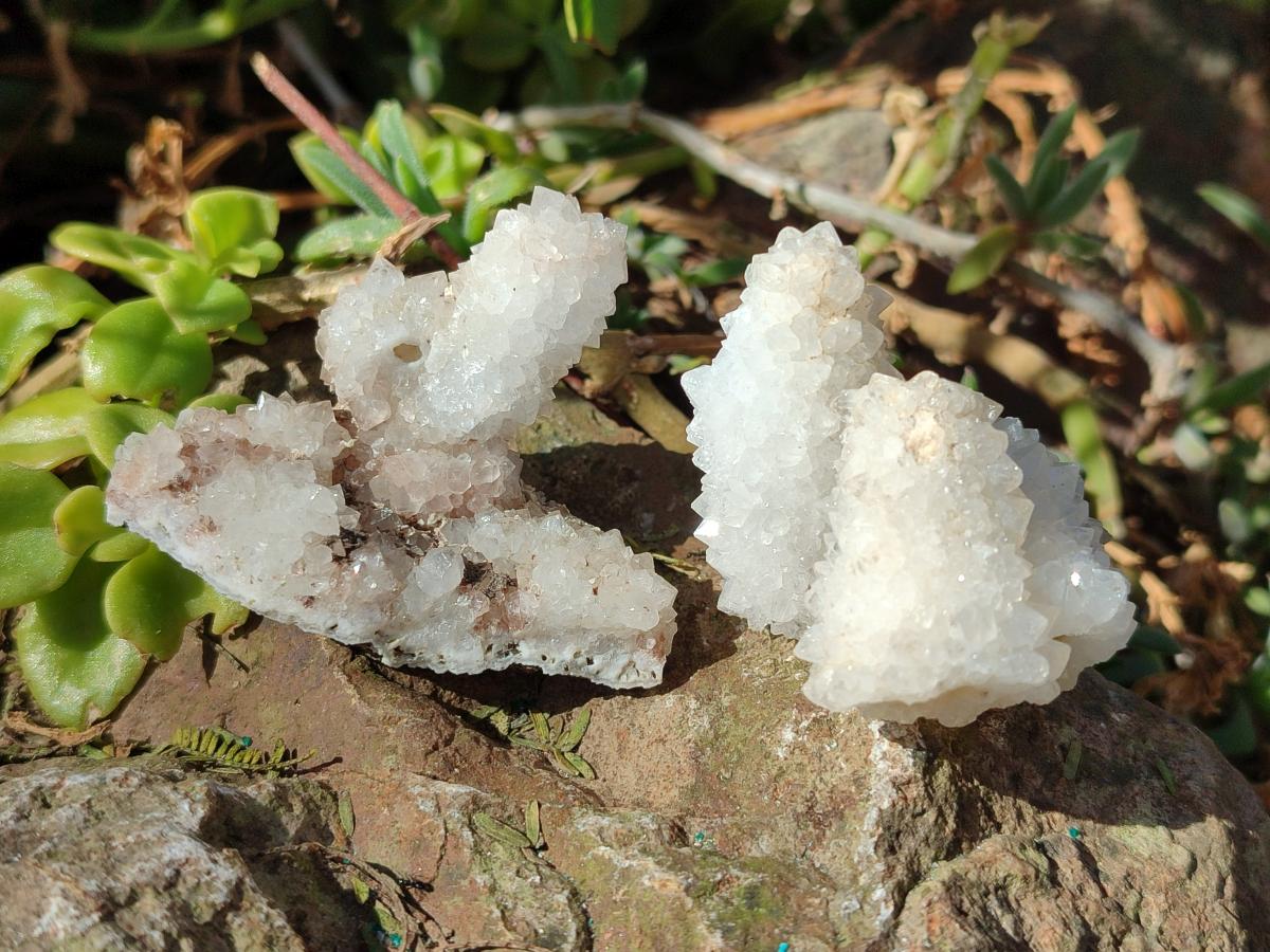 Natural Drusy Stalagmitic Snow Finger Quartz Coated Crystals x 35 From Albert's Mountain, Lesotho - Toprock Gemstones and Minerals 