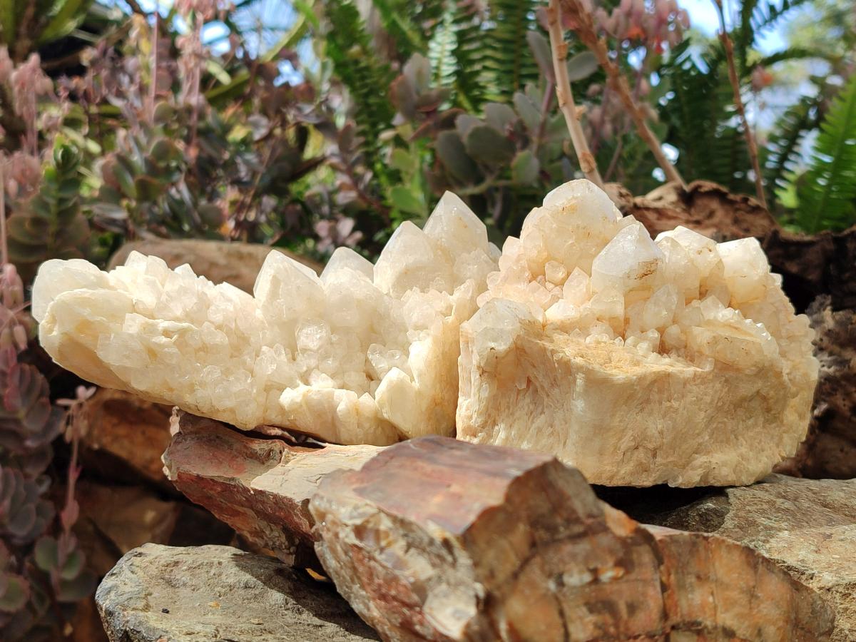 Natural Cascading "Anananas" Candle Quartz Clusters x 2 From Antsirabe, Madagascar - Toprock Gemstones and Minerals 