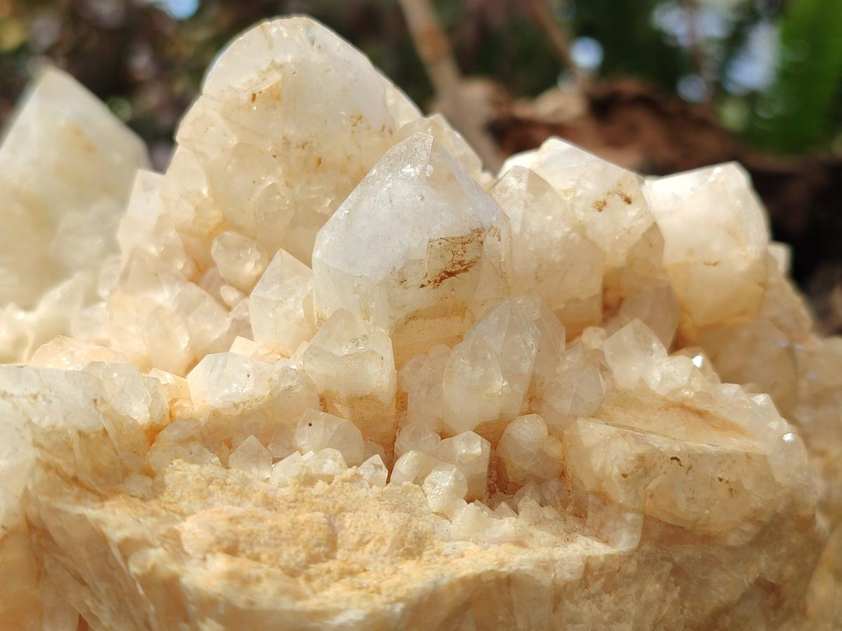 Natural Cascading "Anananas" Candle Quartz Clusters x 2 From Antsirabe, Madagascar - Toprock Gemstones and Minerals 