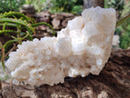 Natural Cascading "Anananas" Candle Quartz Clusters x 2 From Antsirabe, Madagascar - Toprock Gemstones and Minerals 