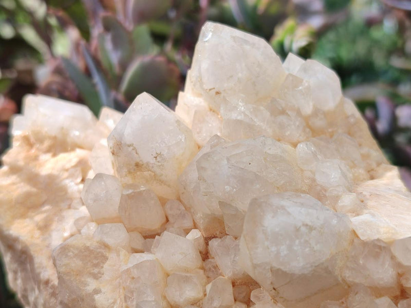 Natural Cascading "Anananas" Candle Quartz Clusters x 2 From Antsirabe, Madagascar - Toprock Gemstones and Minerals 