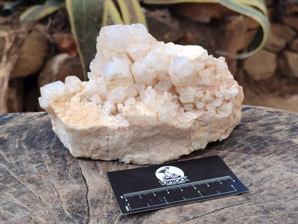 Natural Cascading "Anananas" Candle Quartz Clusters x 2 From Antsirabe, Madagascar - Toprock Gemstones and Minerals 
