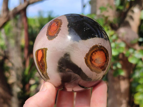 Polished Polychrome Jasper Spheres x 4 From Androka, Madagascar - Toprock Gemstones and Minerals 