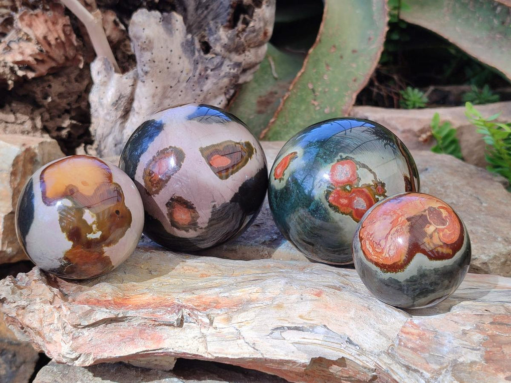 Polished Polychrome Jasper Spheres x 4 From Androka, Madagascar - Toprock Gemstones and Minerals 
