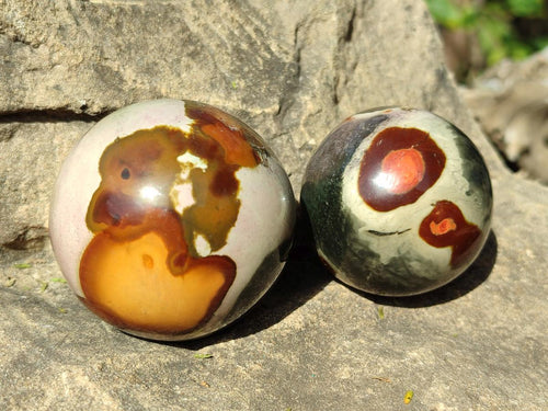 Polished Polychrome Jasper Spheres x 4 From Androka, Madagascar - Toprock Gemstones and Minerals 