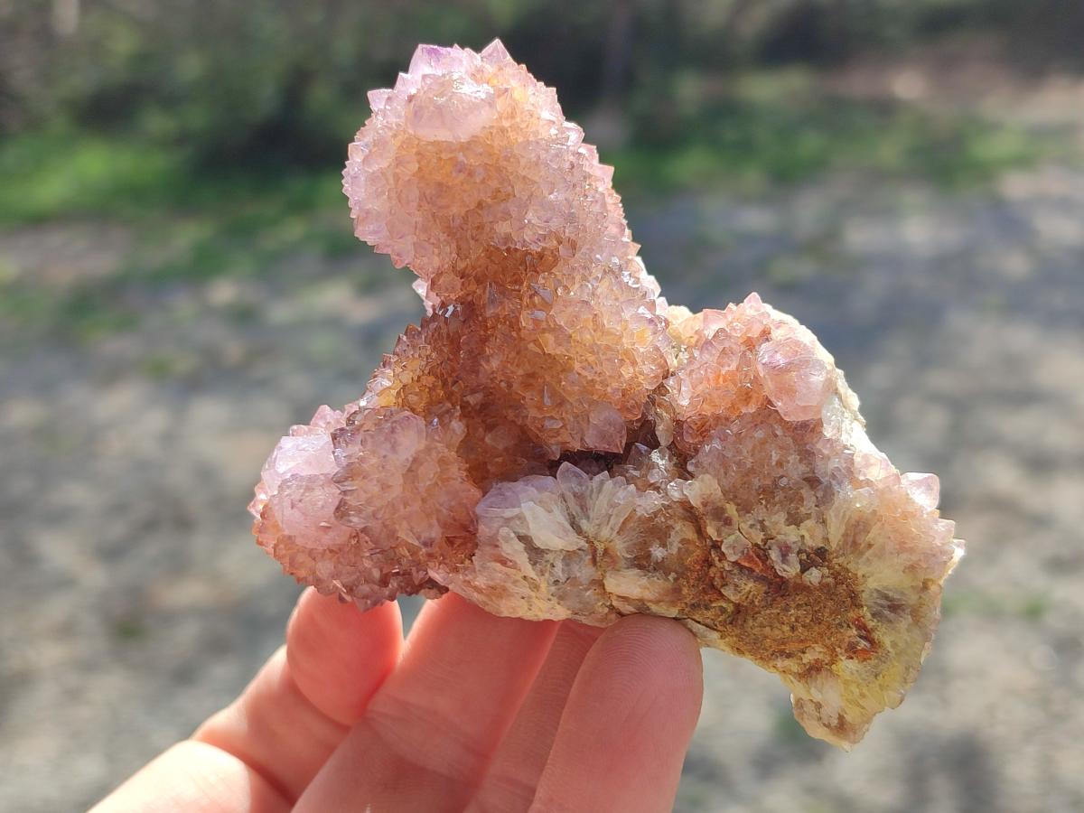 Natural Spirit Ametrine Clusters x 4 From Boekenhouthoek, South Africa - Toprock Gemstones and Minerals 