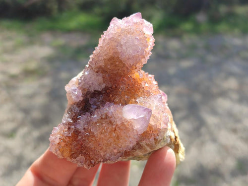 Natural Spirit Ametrine Clusters x 4 From Boekenhouthoek, South Africa - Toprock Gemstones and Minerals 