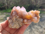 Natural Spirit Ametrine Clusters x 4 From Boekenhouthoek, South Africa - Toprock Gemstones and Minerals 