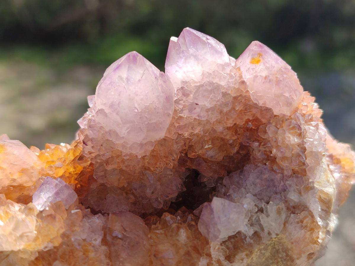 Natural Spirit Ametrine Clusters x 4 From Boekenhouthoek, South Africa - Toprock Gemstones and Minerals 