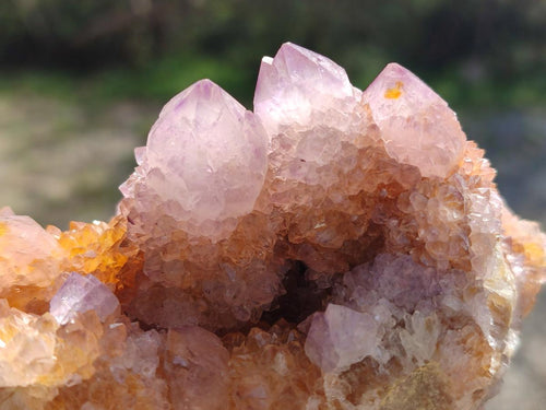 Natural Spirit Ametrine Clusters x 4 From Boekenhouthoek, South Africa - Toprock Gemstones and Minerals 