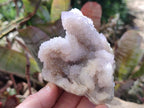 Natural Spirit Ametrine Clusters x 4 From Boekenhouthoek, South Africa - Toprock Gemstones and Minerals 